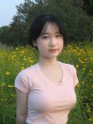 国外进口苹果入口网页