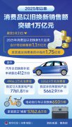 坚持不懈做强国内大轮回
